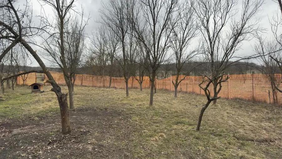 Vand 1064 mp teren intravilan Barlea judetul Cluj - 3