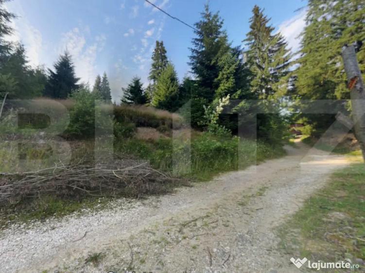 Investitie ! Teren intravilan 990 mp, front 23 m, Muntele B - 1