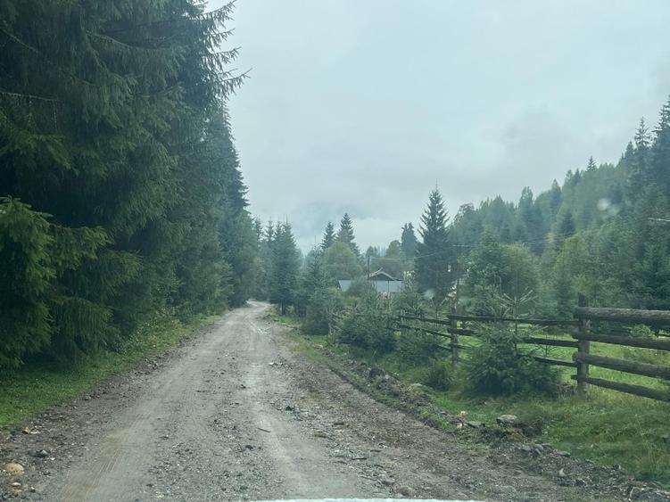 TEREN DORNA ARII - 1