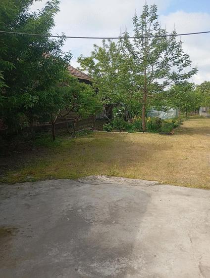 Casa de vanzare in Alexandria - 9