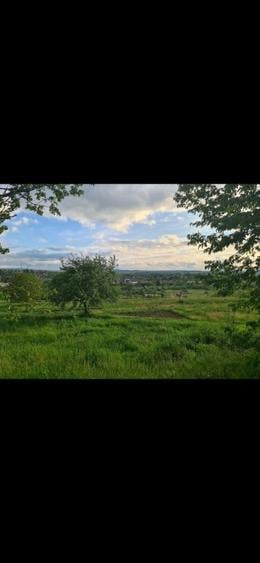 Teren extravilan 2ha Dorohoi - 1