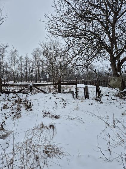Casa spatioasa de vanzare in Porumbacu de Jos - 2