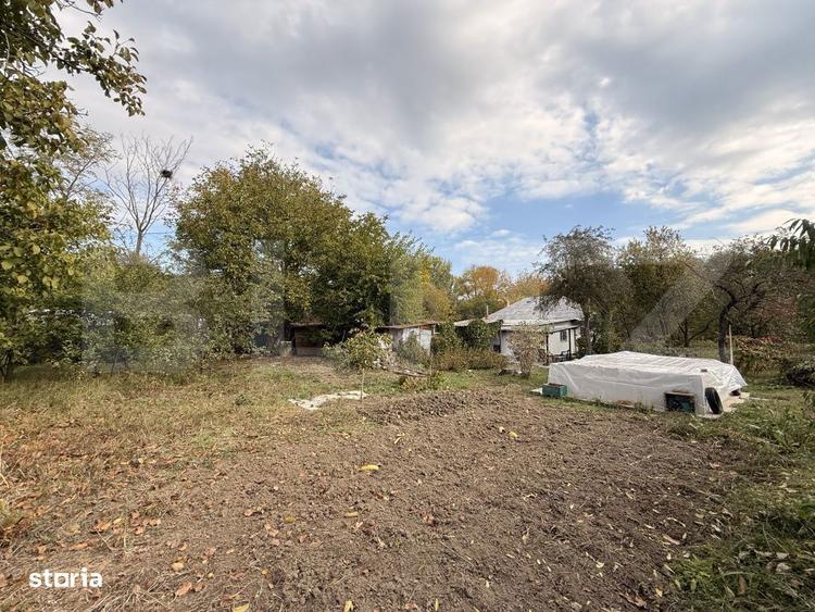 Teren EV si IV cu casa, 29.600 mp, utilitati si acces facil, Albesti - 6