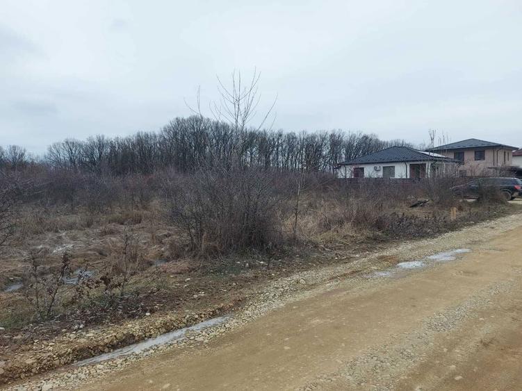 Teren intravilan - Colina Verde, Mosoaia, Sat Smeura, jud. Arges - 5