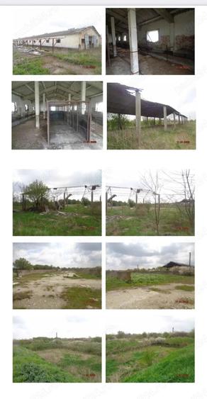 Inchiriez hale 7000 mp si teren intravilan 70000 mp - 6