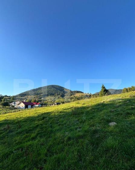 Teren de vanzare in Colibi?a oportunitate de investi? - 1