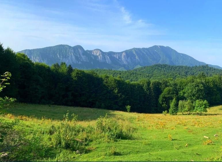De vanzare teren intravilan Trei Brazi, Predeal - 4