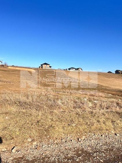 Teren I Suceava I Moara Nica I 2500 Mp I 54.900 Euro