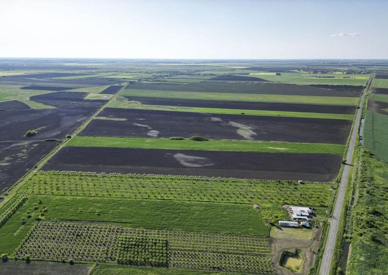 Livada de nuci ?i pruni 2.4ha in Varia?ul Mare - 6