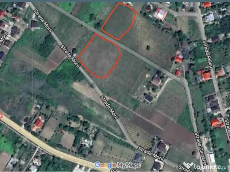 Vanzare 2 loturi de teren, intravilan intrare in Chicerea, judetul Iasi, 6200mp - 1