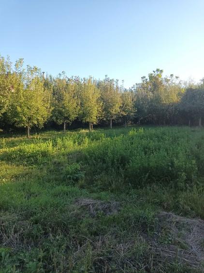 Casa de vanzare in Brasov Stupini cu teren de 1891mp.Proprietar. - 4