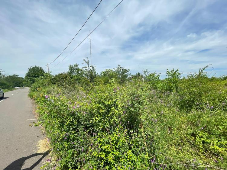 SNAGOV PLAZA - TEREN IDEAL DEZVOLTARE IMOBILIARA! - 5