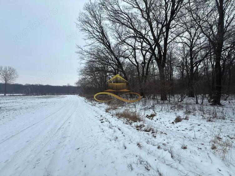 Teren extravilan - Padure de vanzare in Beresti Bistrita - 3