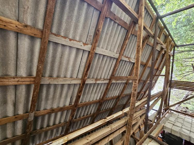 Gospodarie cu 2 case Comuna Trivale Mosteni, sat , la 30 km de Alexandria, jude?ul Teleorman - 1