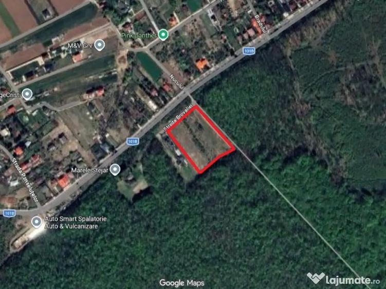 Exclusivitate-proiect unic in Padurea Snagov! Loturi teren 400-600 mp. - 3