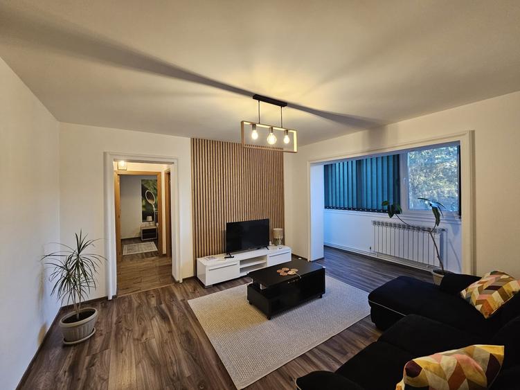 Apartament 2 camere, etaj 1 Nicolae Balcescu - 5