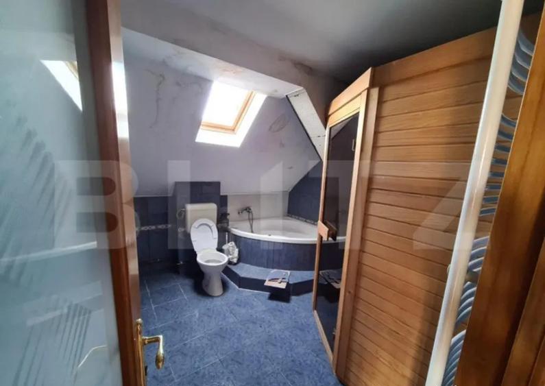 Casa, proprietate pretabila pentru sediu de firma + hala pro - 12