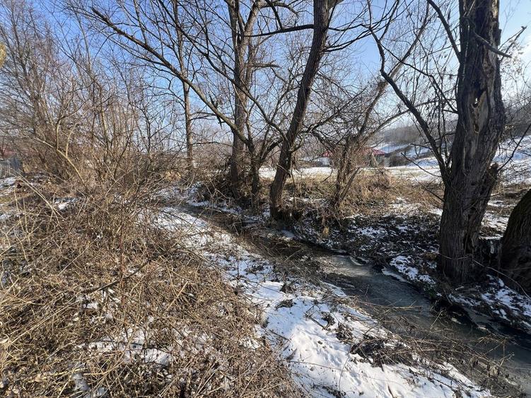 Casa batraneasca - curte si gradina 1924 mp + 2100 livada - 8