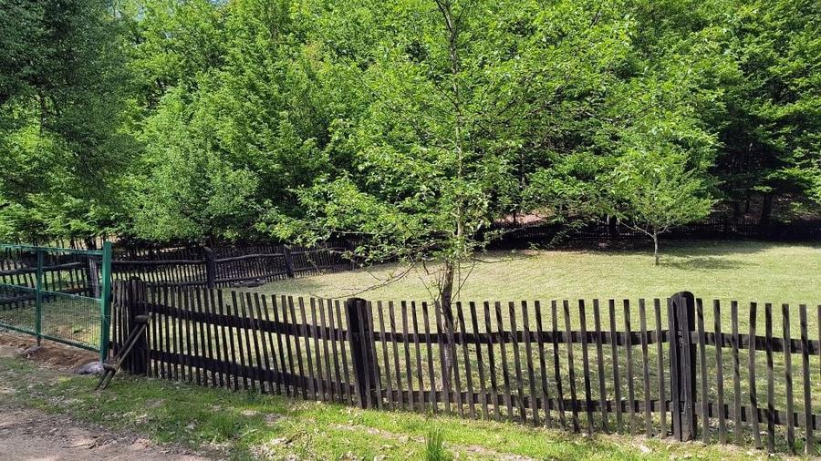 De vanzare teren 1800mp - 7