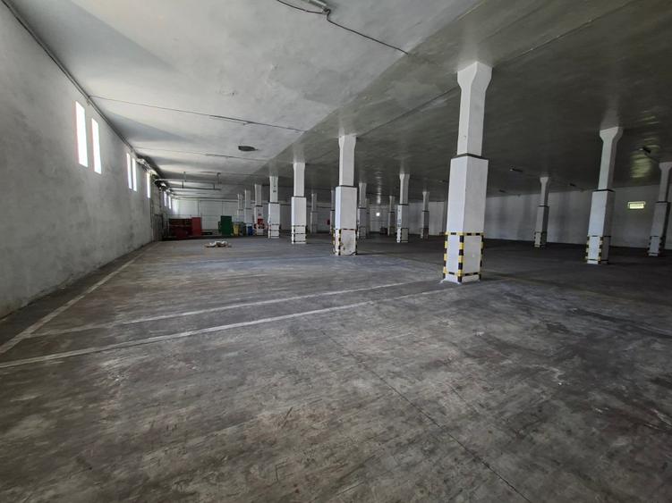 Depozit  de inchiriat in suprafta de 1914 mp - 5