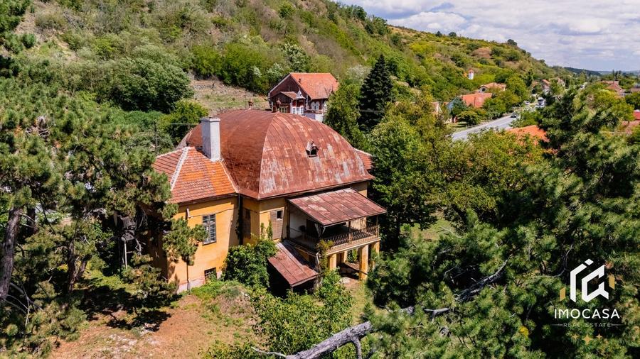 Vila Conac boieresc contelui Fabia 1920 de vânzare Păuliș Arad 2,4 ha - 5