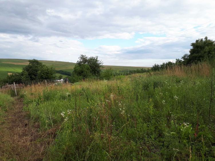 Vand 2300 mp cu utilitati, 32 eur/mp, Cluj Napoca/sat Rediu/Aiton - 4