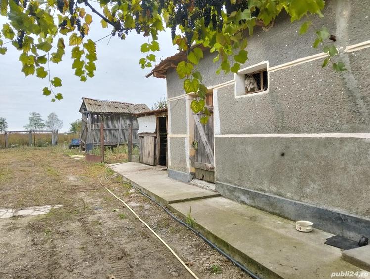 Vand casa in Miersig - 5