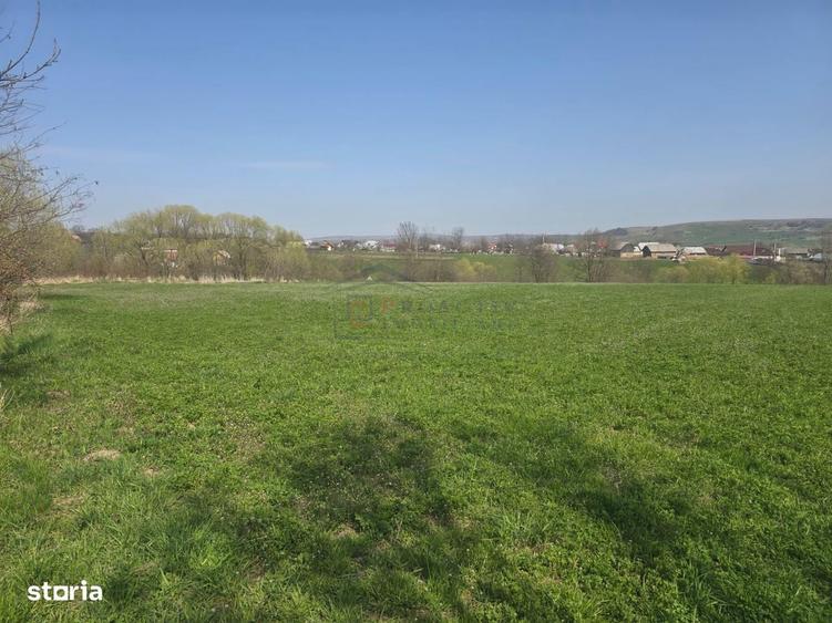 Teren Intravilan 1,5 Ha | Deschidere 180ml | T-7760 - 1