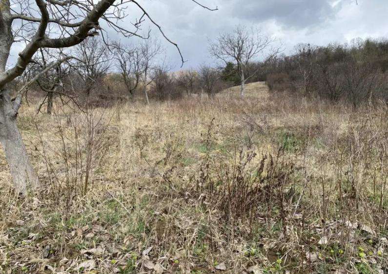 Teren intravilan in suprafata de 2000 mp, zona Episcopiei - 2