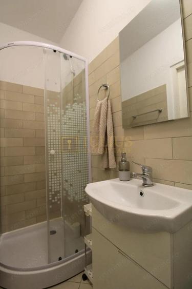 Garsoniera zona Lipovei, pet-friendly. - 5