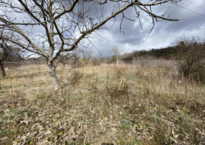 Teren intravilan in suprafata de 2000 mp, zona Episcopiei - 4