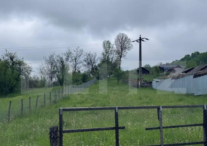 Teren de Vanzare in Bezdead - 1