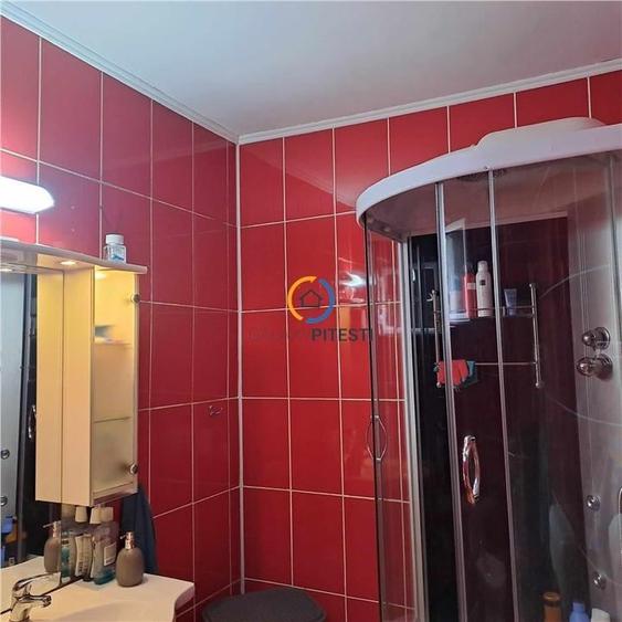 De vanzare teren + vila +anexa zona targului saptamanal, pretabila azil, gradini - 10