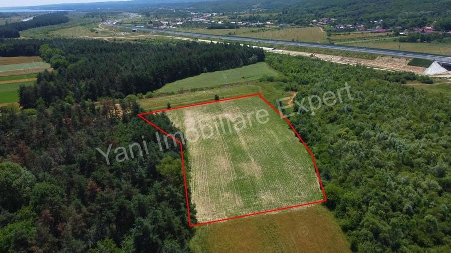 Teren de vanzare in comuna Baicule?ti, Judet Arge?. - 8