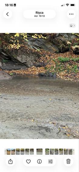 De vanzare Teren tanita 2150 mp - 5