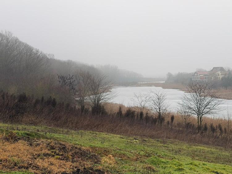 Teren superb pentru casă pe malul lacului | Moara Vlăsiei | 1000 MP - 4