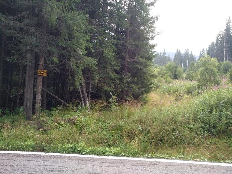 Zona Puru, lac Vidra, Voineasa, jud. Valcea - 2