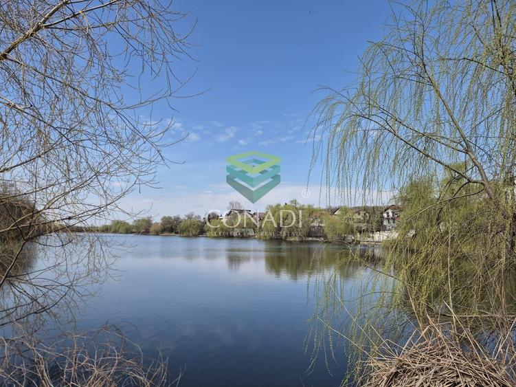 Teren || vis - a - vis de Padure - Balotesti || 2.000 mp - 9