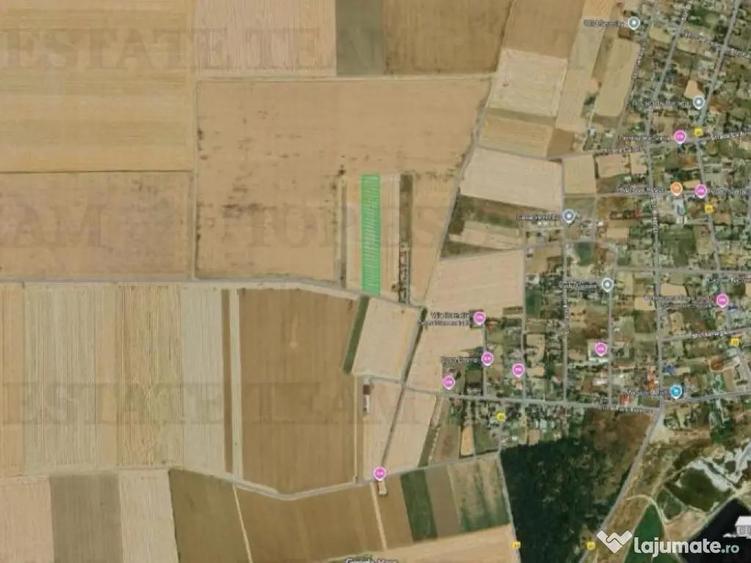 Teren extravilan arabil, Vadu/ Corbu, Constanta - 3
