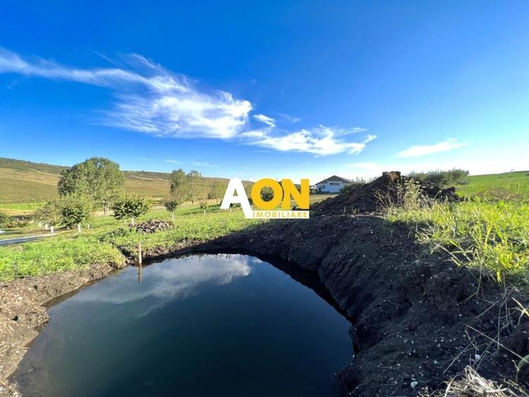 Ferma de vanzare cu 550MP utili si 27.500MP teren la asfalt - 1