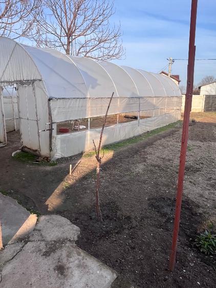 Casă și Teren de vânzare comuna Plosca  - 7