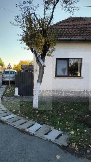 Casa individuala 3 camere Dumbravita - 1