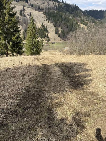 Teren rarau 10 min de partie extravilan parcela de jumatate 5600mp - 1