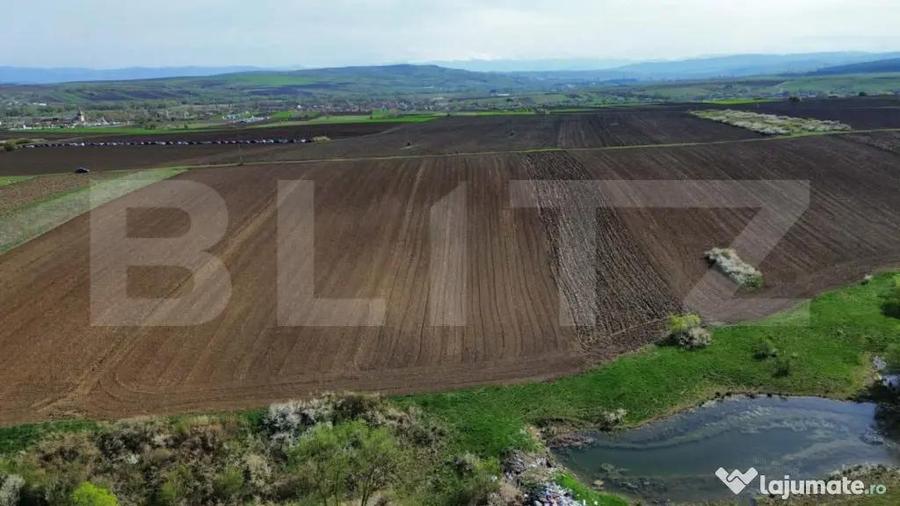 Teren extravilan de vanzare, 2.700 mp - zona Cristur - 2