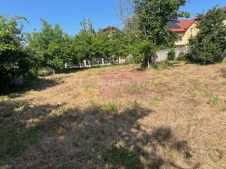Teren Clinceni- Putul Olteni- Crizantemelor Teren Clinceni- Putul Olteni- Crizantemelor