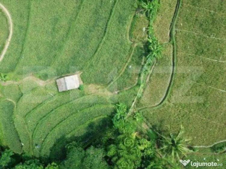 Exclusivitate, Teren Pischia 1,4 hectare - 1