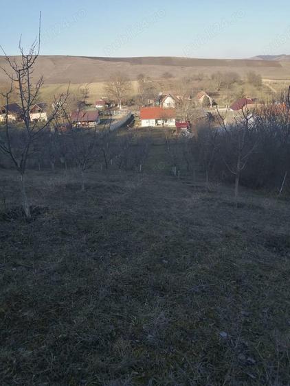 Casa de vanzare in Ora? Ludu?, str. Avrame?ti - 6