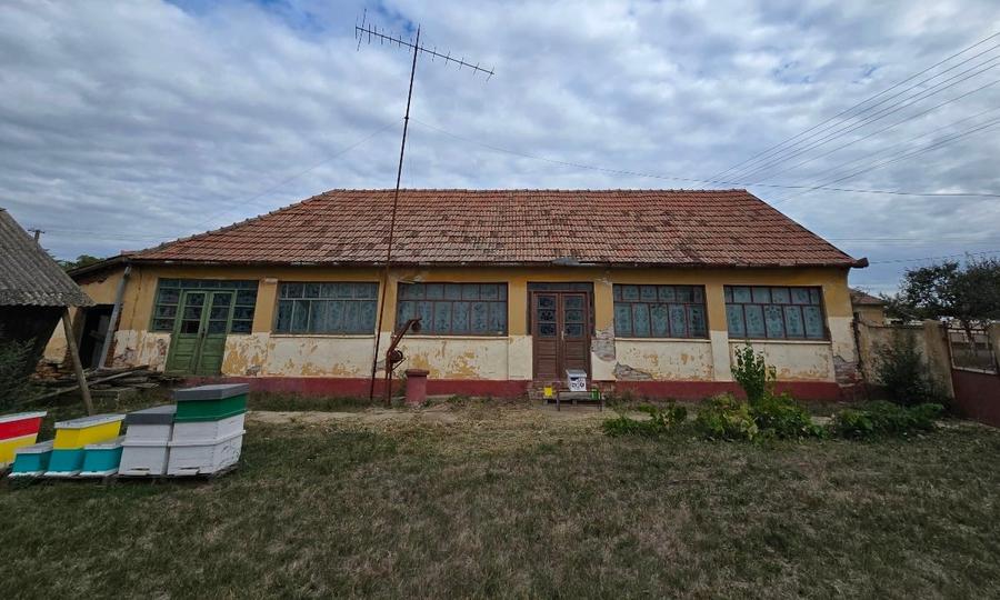 Casa individuala cu teren generos în zona liniștită - 4