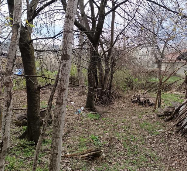 Vand teren intravilan, 1808 mp, situat in Sat Poiana Mierlei, Com. Drajna, Jud. Prahova - 4