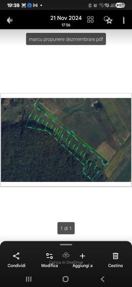 Teren intravilan la padure .Catamarasti Vale ,telefon 00393294912343 - 1